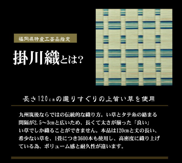 掛川織 い草カーペット 『雲仙』 本間6畳(約286×382cm) 【メーカー直送商品】☆