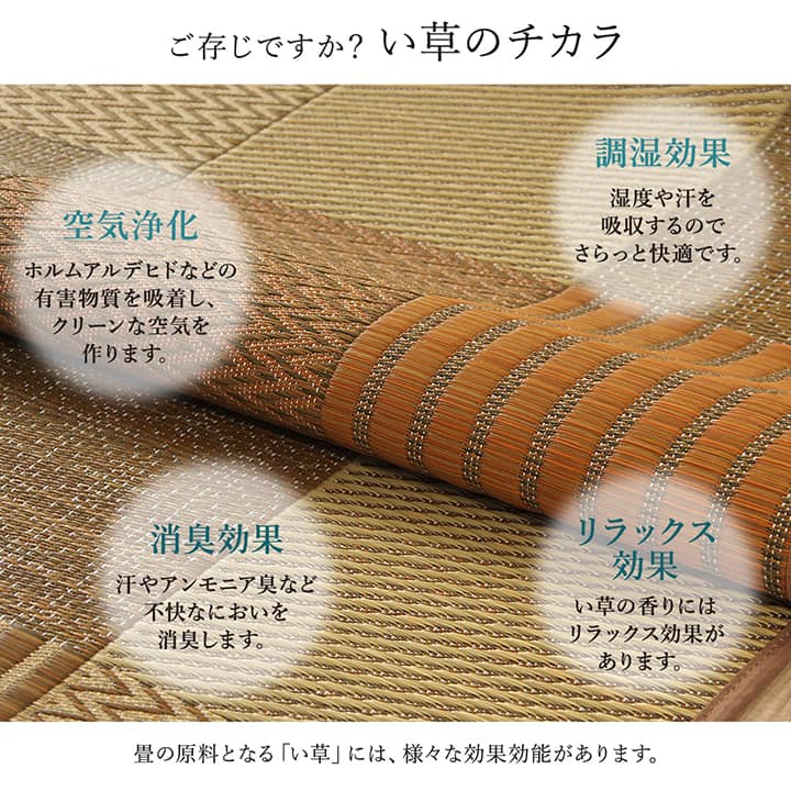イケヒコ ラグ い草 国産 純国産 日本製 モダン 抗菌防臭 自然素材