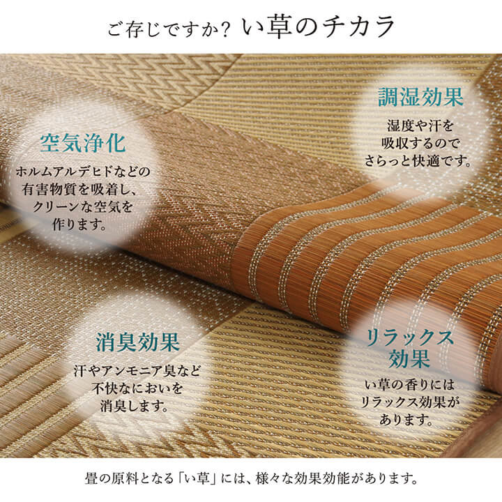 イケヒコ ラグ い草 国産 純国産 日本製 モダン 抗菌防臭 自然素材