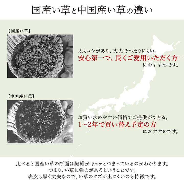 イケヒコ ラグ い草 国産 純国産 日本製 モダン 抗菌防臭 自然素材