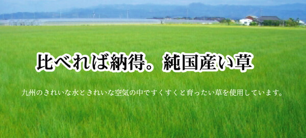 純国産 柳川段通 三重織 い草ラグカーペット 『柳川かすり』 約191×191cm 【メーカー直送商品】☆_6