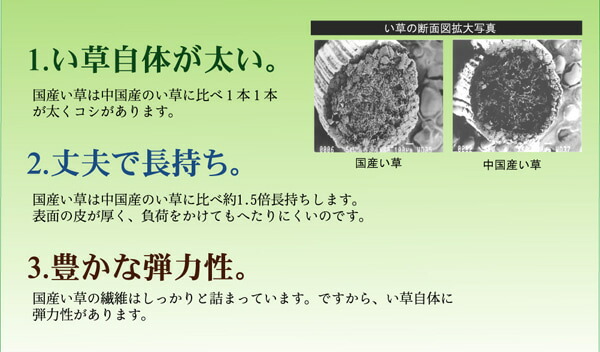 純国産 柳川段通 三重織 い草ラグカーペット 『柳川かすり』 約191×191cm 【メーカー直送商品】☆_7