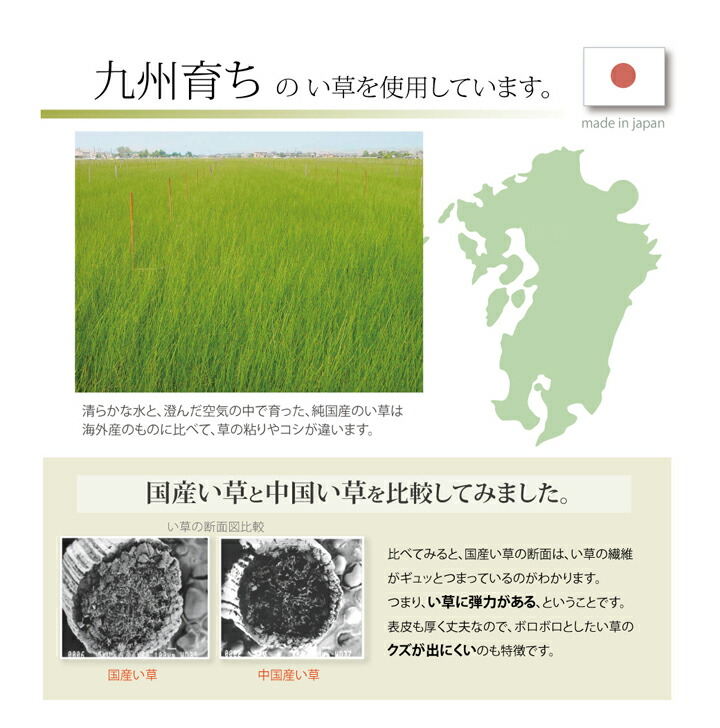 純国産 い草ラグカーペット 『F)MUKU』 約191×191cm（デニム） 絨毯 カーペット ラグ 敷き物【メーカー直送商品】_5