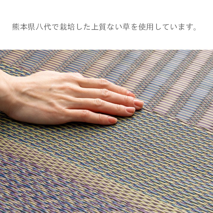 敷物 ラグ（い草） ＤＸオルシャ 176×230cm【メーカー直送商品】_3