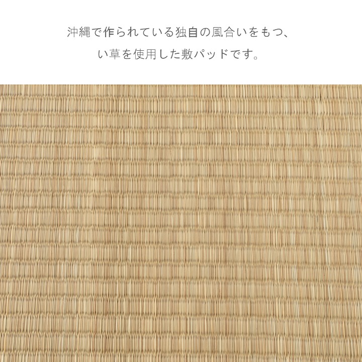 寝具 敷パット 南国気分 ビーグ敷パット 95×192cm い草 畳 敷きパッド シングル【メーカー直送商品】_1