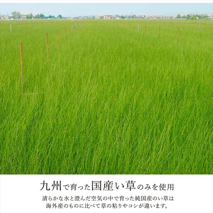 置き畳 ユニット畳 システム畳 国産 日本製 ナチュラルスタイル い草 消臭 抗菌防臭 市松 約82×82×2.3cm 6P 同色6枚組 【メーカー直送商品】☆_12