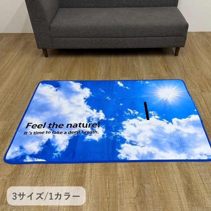 イケヒコ 敷物 カーペット ラグ ブルースカイ 90×130cm 絨毯