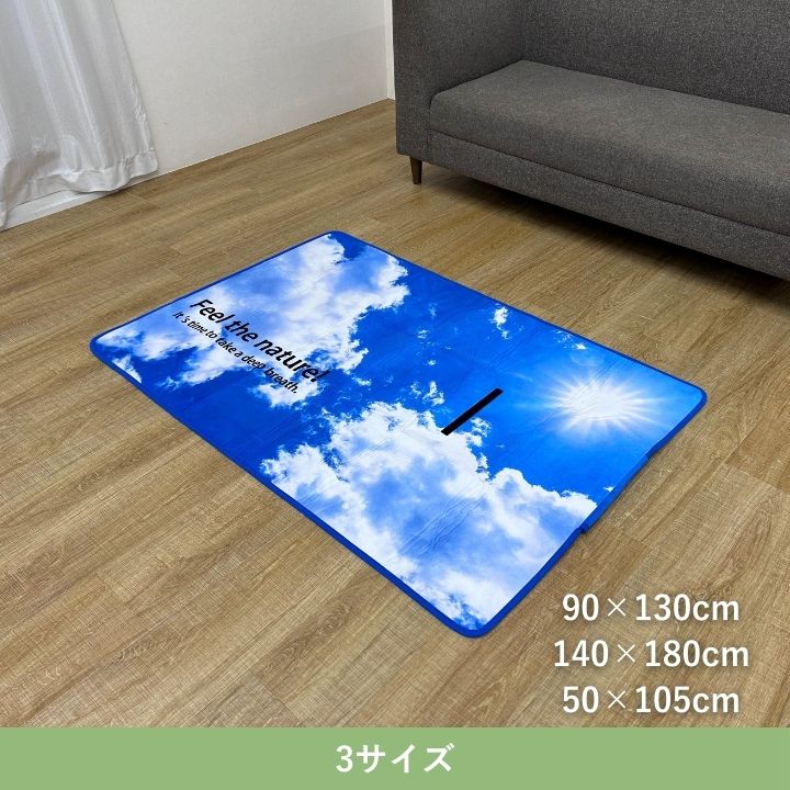 イケヒコ 敷物 カーペット ラグ ブルースカイ 90×130cm 絨毯