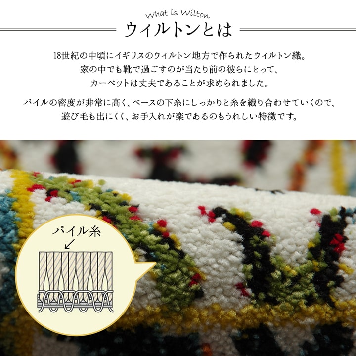 イケヒコ 玄関マット トルコ製 ウィルトン織り 約70×120cm 抗菌防臭 消