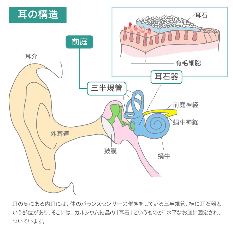 逆流性食道炎のための枕「スロープピロー」