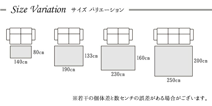 カーペット ラグ トルコ ウィルトン 織り カービング 約200×250cm 抗菌防臭 消臭 へたりにくい エレガント 【メーカー直送商品】☆_6