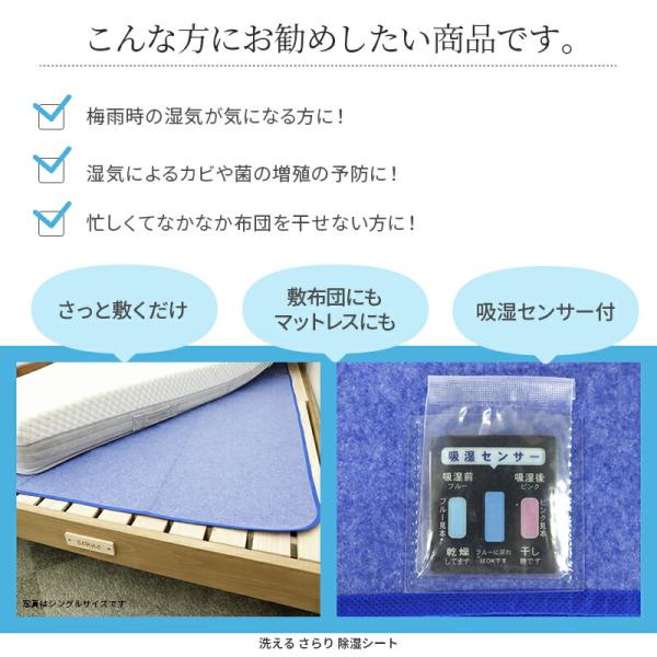 さらりと快適 洗える 除湿シート  2枚組 シングル 湿気対策 防カビ 防臭 抗菌 90×180cm  [2枚セット] ブルー |  | 01