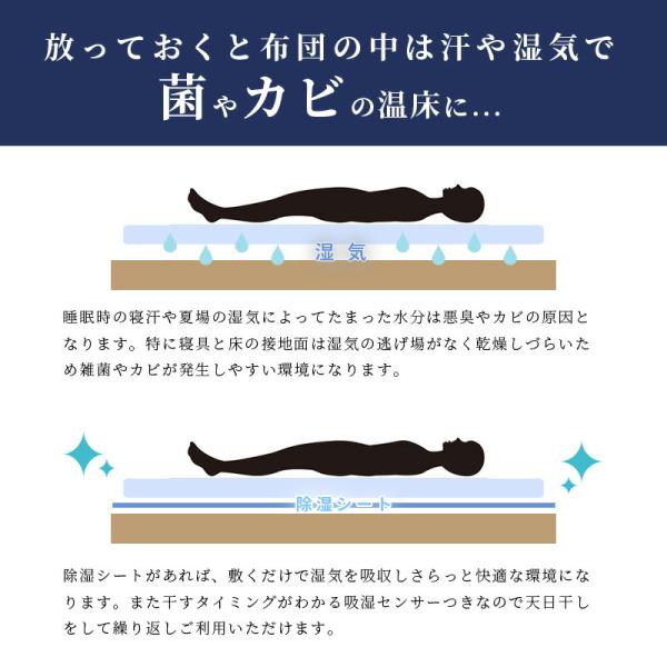 さらりと快適 洗える 除湿シート  2枚組 シングル 湿気対策 防カビ 防臭 抗菌 90×180cm  [2枚セット] ブルー |  | 02