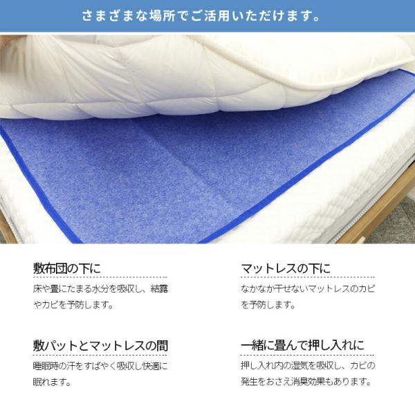 さらりと快適 洗える 除湿シート  2枚組 シングル 湿気対策 防カビ 防臭 抗菌 90×180cm  [2枚セット] ブルー |  | 06