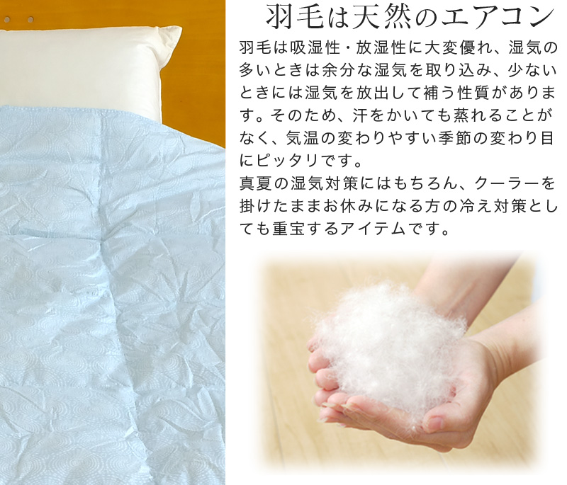 ダウンケット 羽毛肌掛け布団 洗える