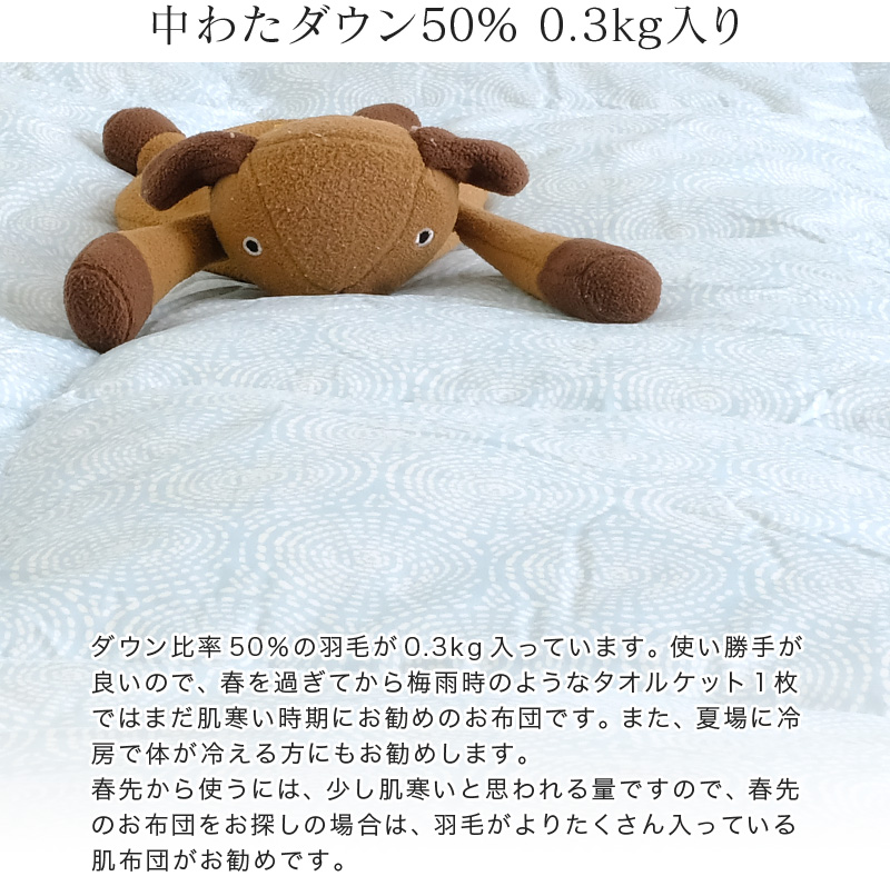 ダウンケット 羽毛肌掛け布団 洗える