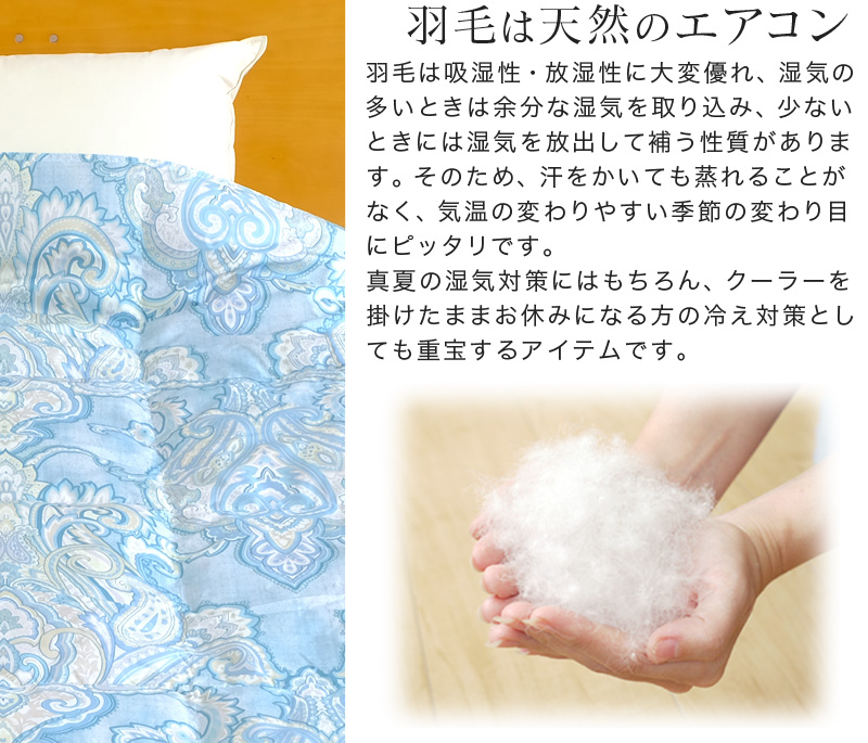 ダウンケット 羽毛肌布団 西川