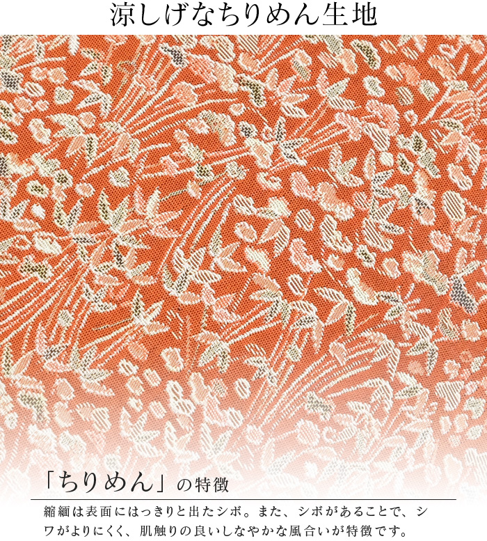 kiri-kiku-fasuna.jpg