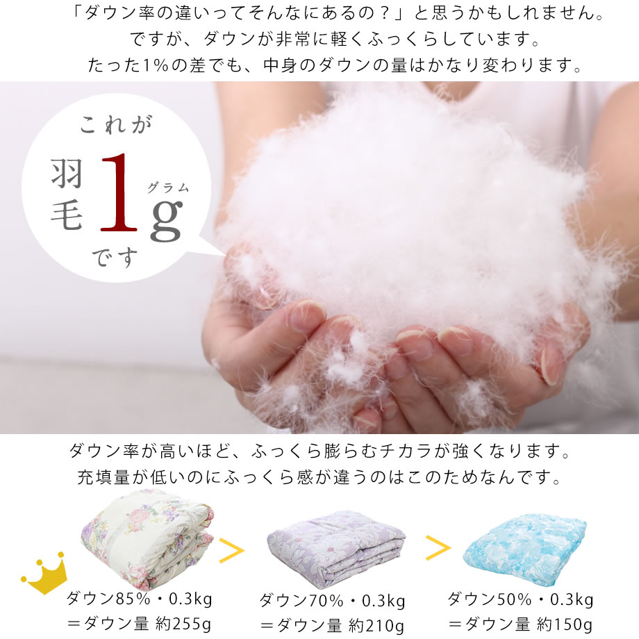 西川（nishikawa） ダウンケット 羽毛肌掛け布団 シングル ロング