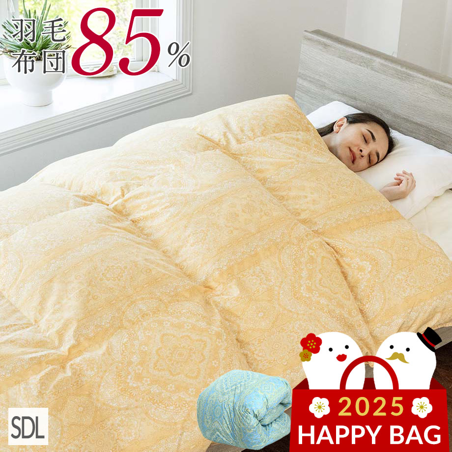 西川（nishikawa） 新春 福袋 2025 羽毛布団 セミダブル あったか 抗菌