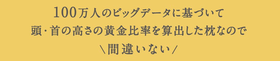100万人のビッグデータに基づいた黄金比率まくら