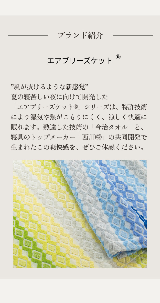 西川（nishikawa） ポイント10倍 タオルケット シングル 今治 エア