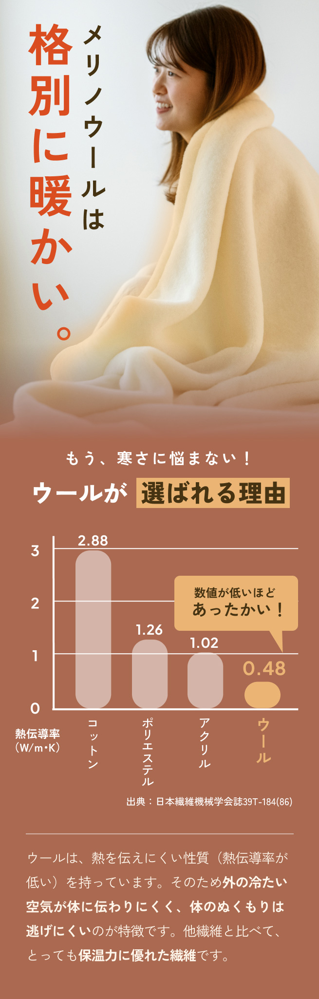 毛布 ウール シングル 日本製 泉大津 ウール100% 洗える メリノウール