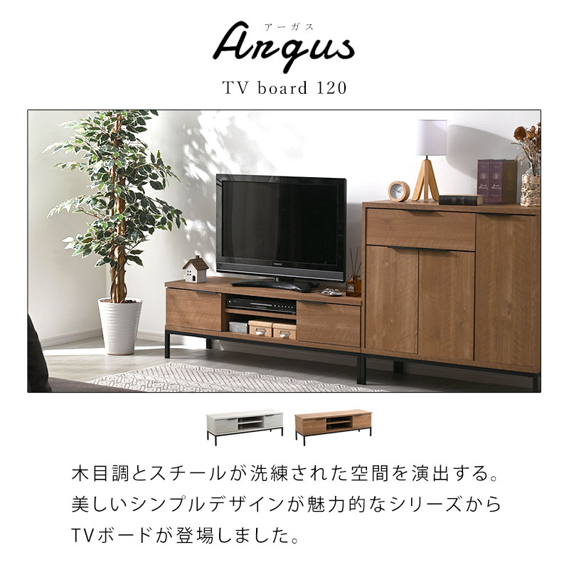 テレビ台 幅120cm おしゃれ ローボード ロータイプ テレビボード 43型 40型 32型 24型 43インチ 40インチ 32インチ 24インチ  北欧 大型 AVボード TVボード TV台 : 00-100138 : 収納 本棚&食器棚 ラック YMWORLD - 通販 -  Yahoo!ショッピング