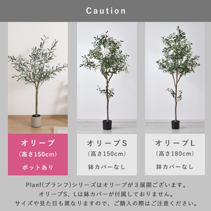フェイクグリーン 大型 玄関 オリーブ オリーブの木 150cm 鉢植え