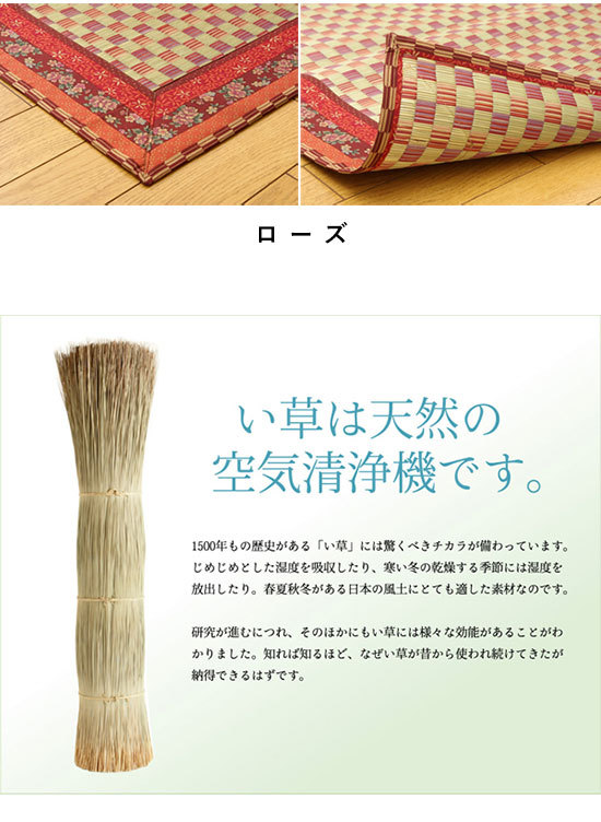 い草 カーペット 日本製 純国産 花ござ 261×261cm 江戸間4.5畳サイズ