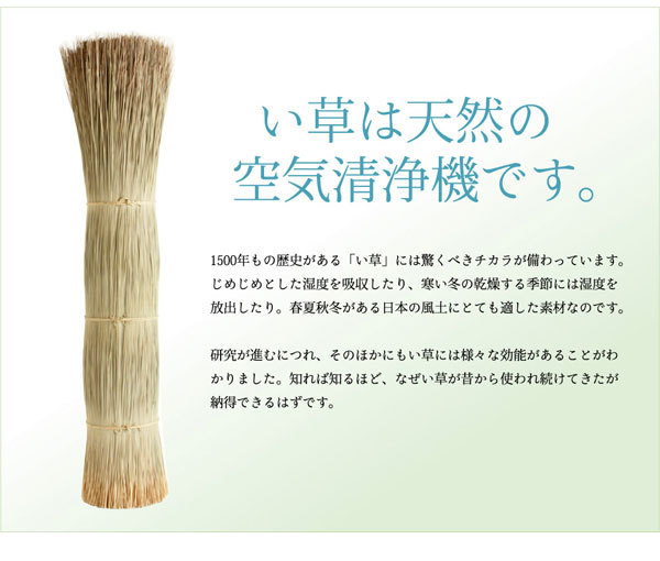 い草 カーペット 日本製 純国産 花ござ 174×261cm 江戸間3畳サイズ