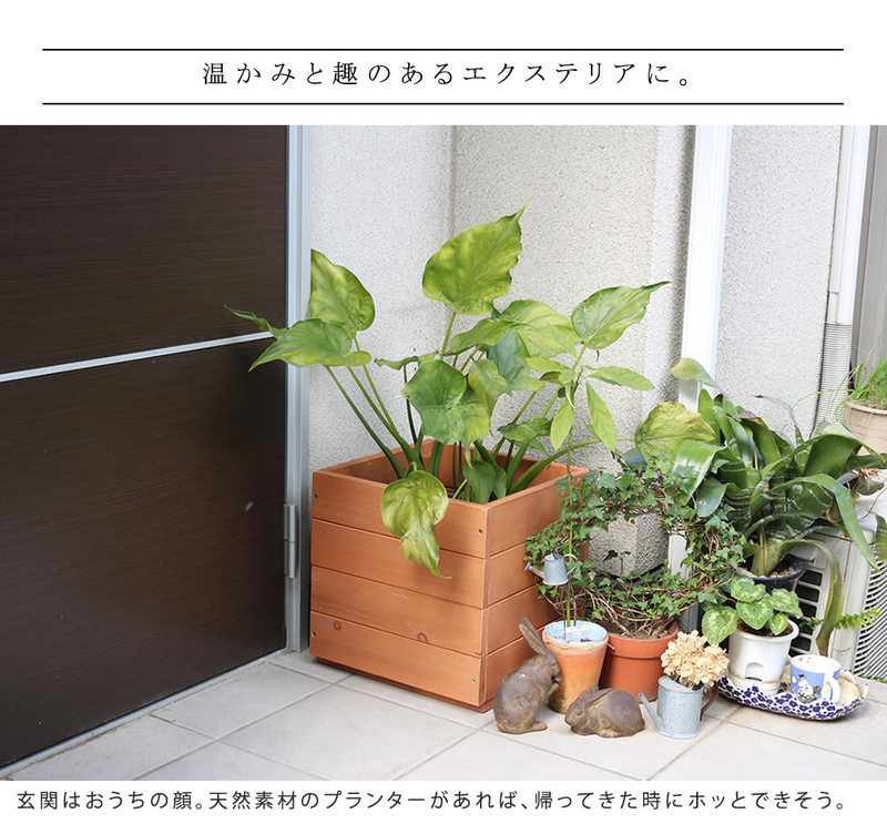 店内全品ポイント5倍／プランター天然木製 ボックス 正方形 36cm
