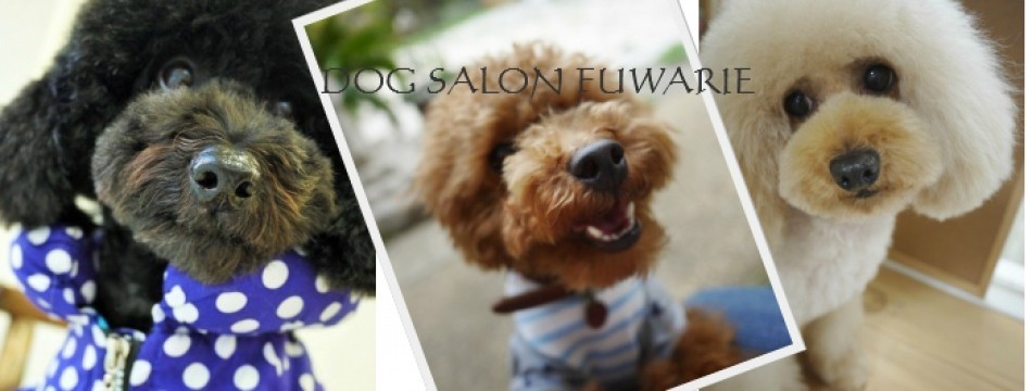 DOG SALON FUWARIE