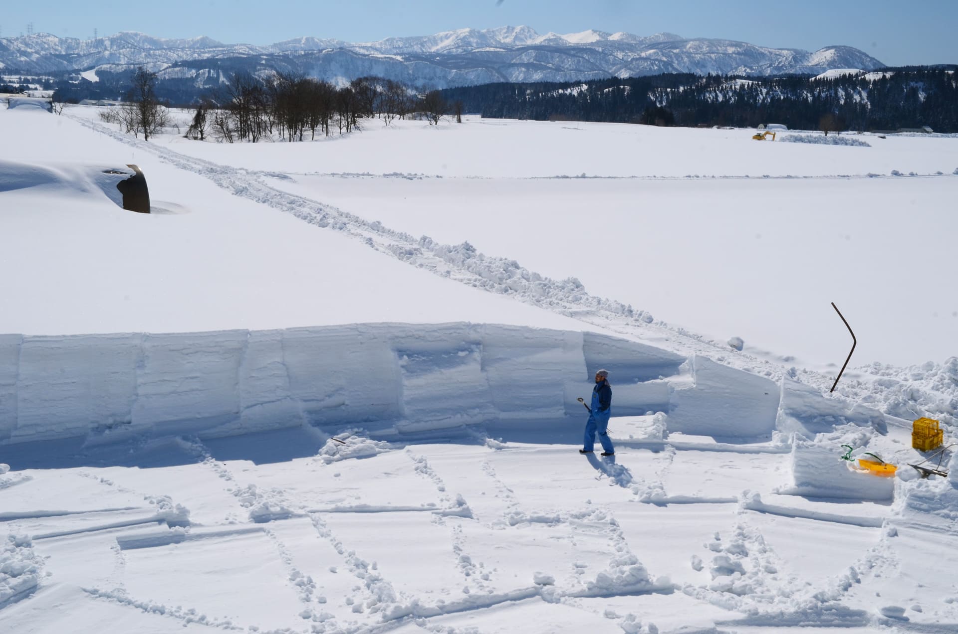 津南の雪と畑