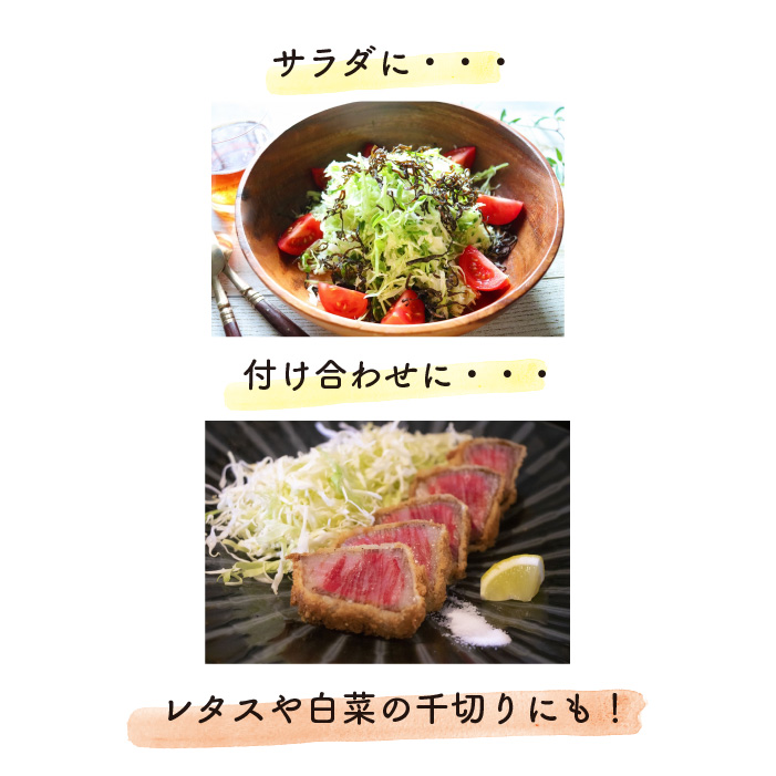 Disney（ディズニー） キャベツ 極細 千切り ピーラー セレーション