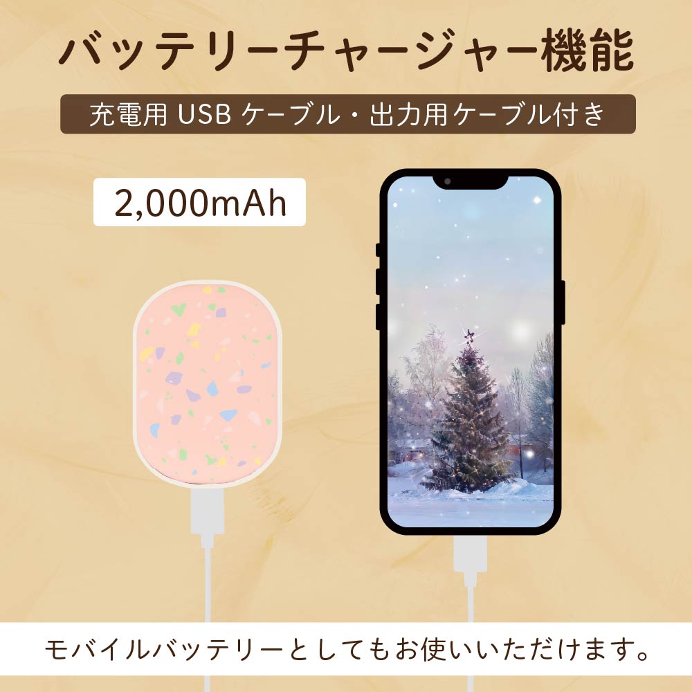 充電式カイロ 2個セット エレス イーカイロ シェア e-Kairo Share 電気