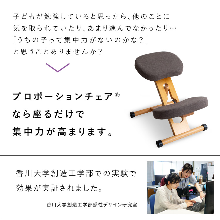 宮武製作所 プロポーションチェア バランスチェア 姿勢矯正 骨盤