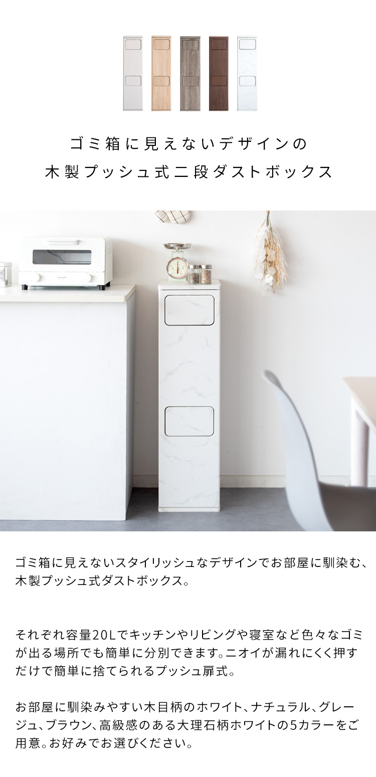 ゴミ箱 ごみ箱 ダストボックス 20L 2段 分別 スリム 薄型 縦型 ふた