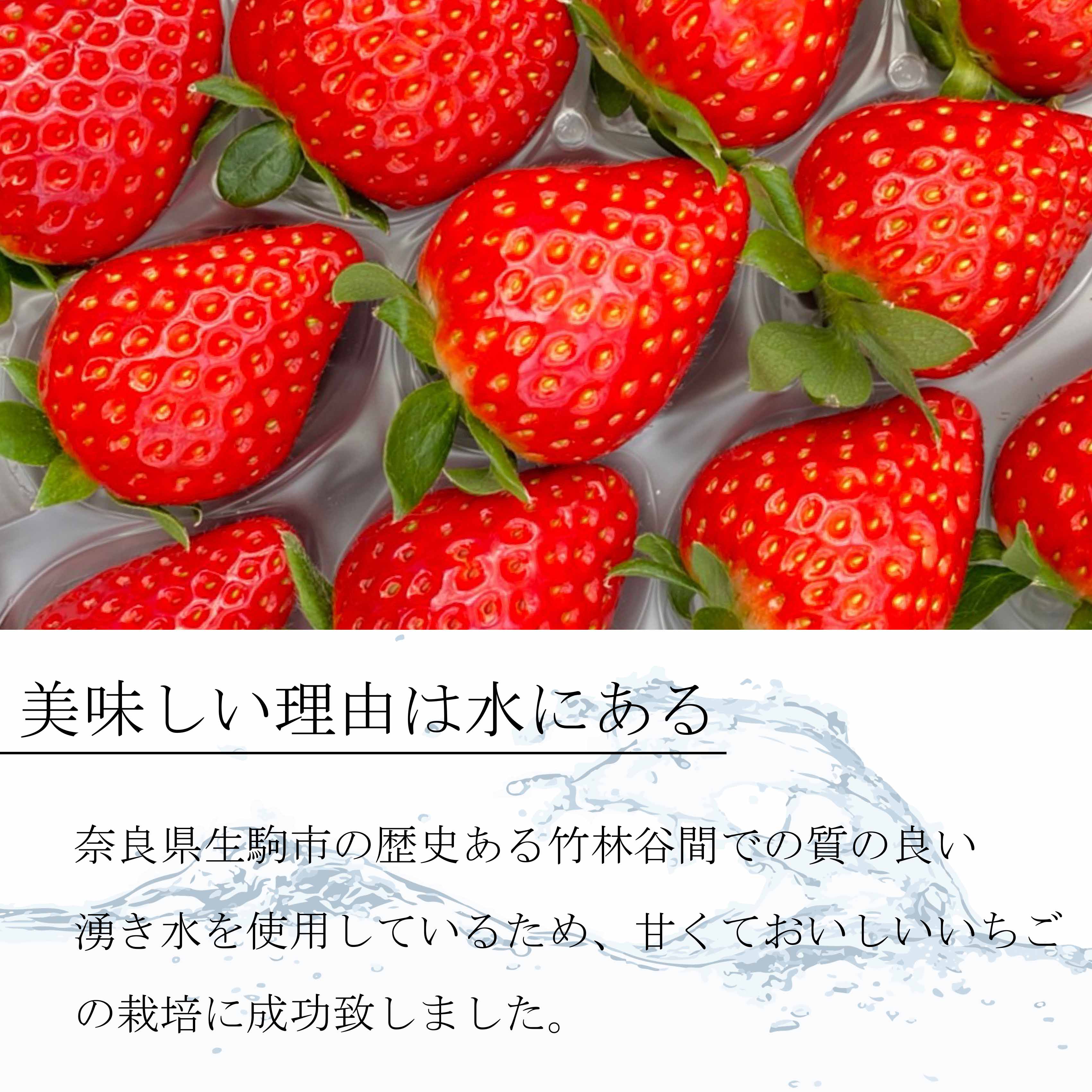 いちご 古都華 特大１粒売り【6Lサイズ 】奈良県産 苺 1粒サイズ6L(約