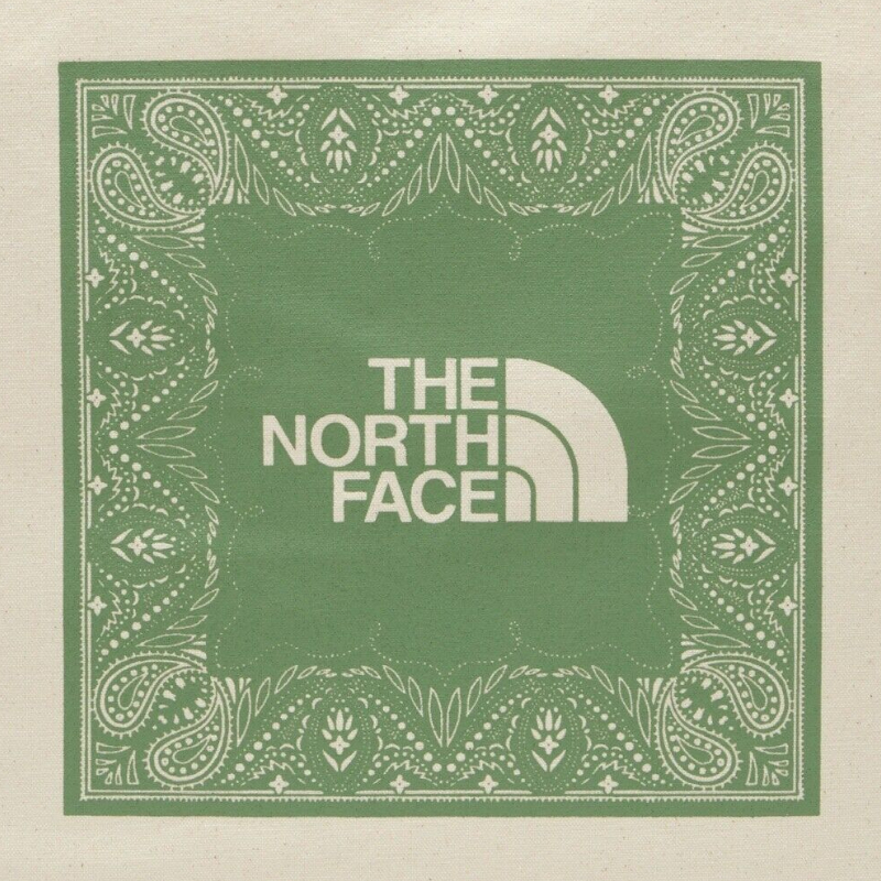 トートバッグ キャンバス 大容量 大きい THE NORTH FACE 通勤 通学 学校 プレゼント ザノースフェイスCOTTON CANVAS TOTE | THE NORTH FACE | 12