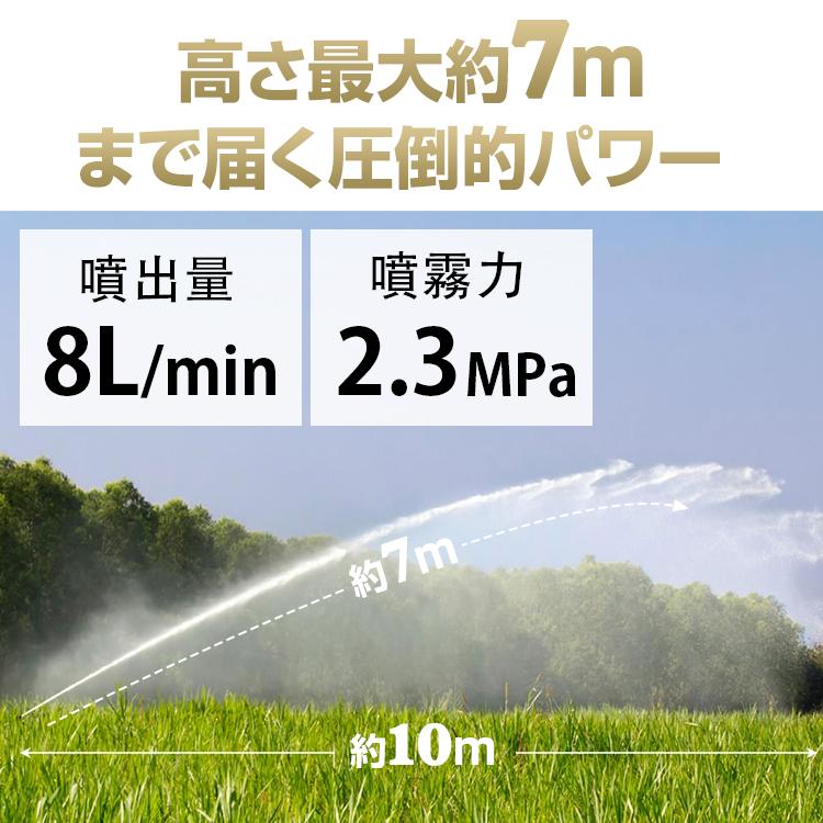 噴霧器 エンジン式 セット動噴 2スト 動噴 農業 農用 農薬 除草剤 肥料 散布 散水 動力噴霧器 水やり 園芸 ガーデニング 害虫駆除 農薬散布 消毒 家庭菜園｜g-field｜05