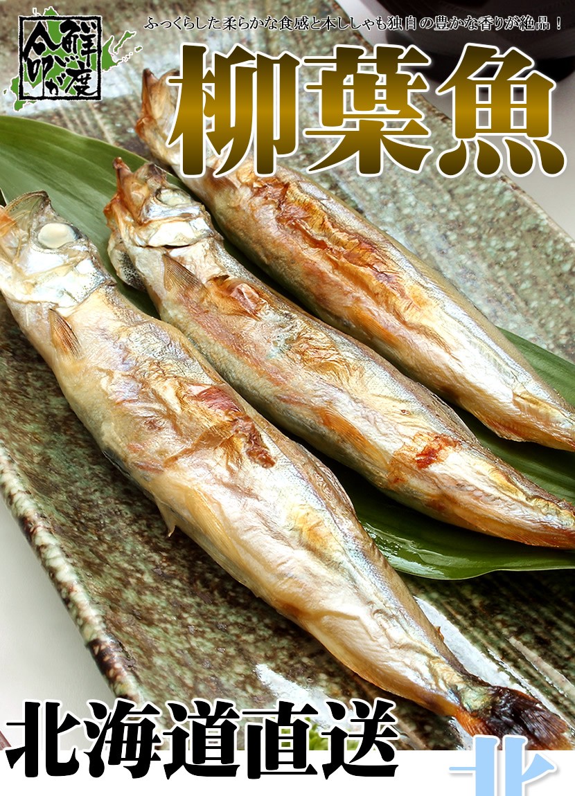 北のデリシャス - 柳葉魚(シシャモ)｜Yahoo!ショッピング