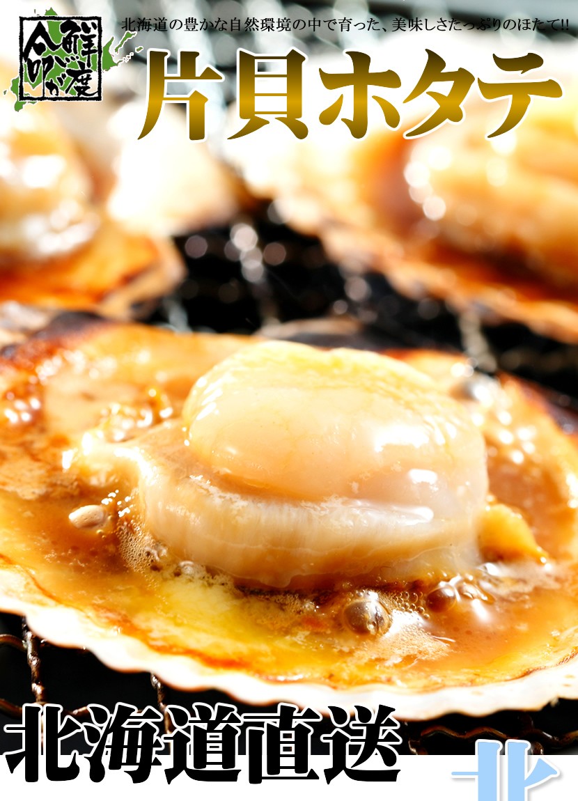 北海道産 片貝ホタテ