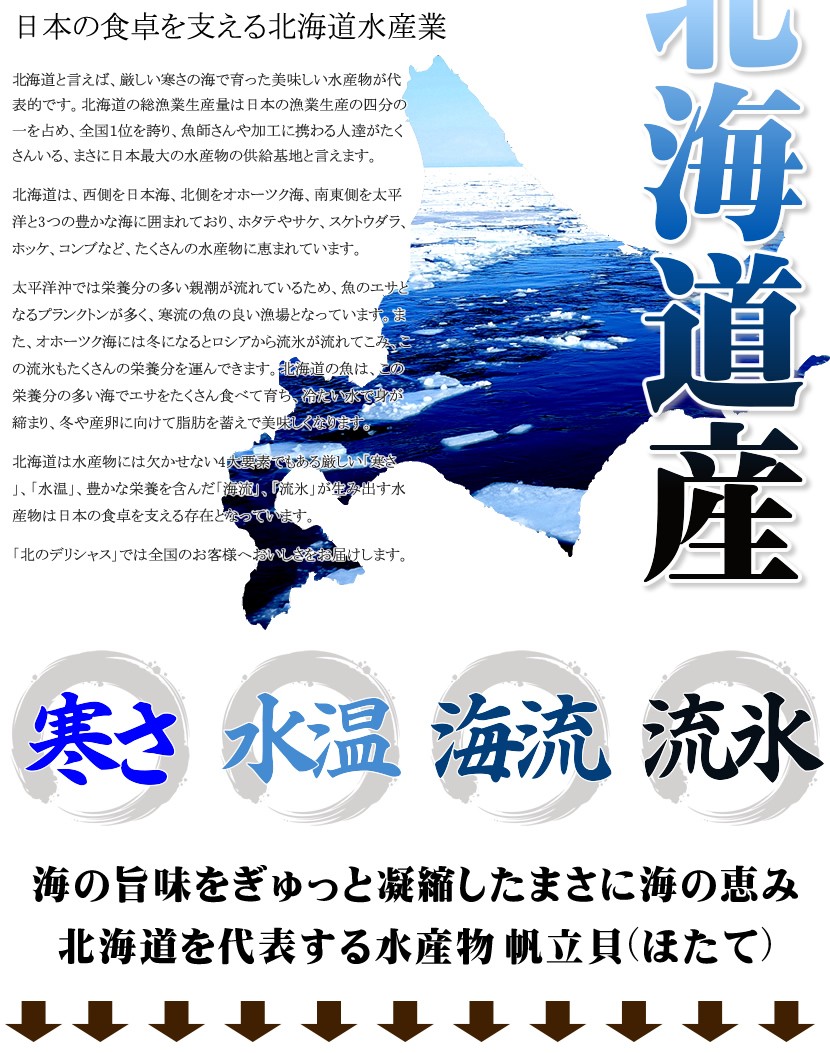 北海道産 片貝ホタテ