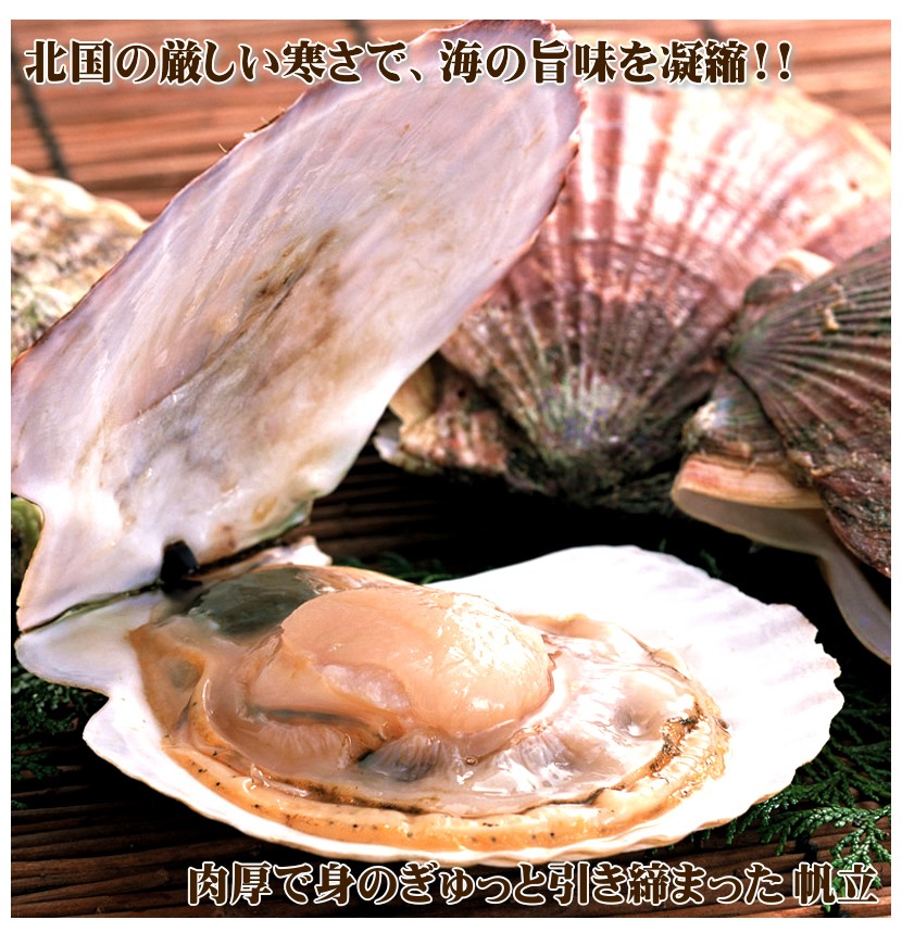 北海道産 片貝ホタテ