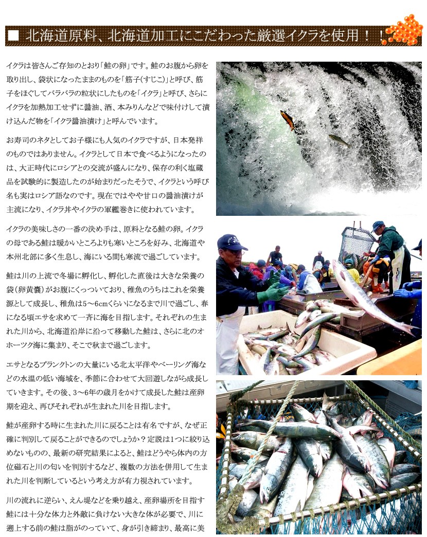 北海道産 イクラ