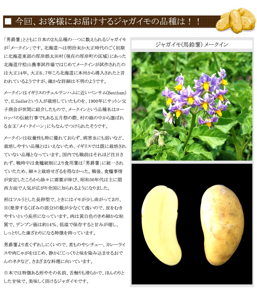 北海道産 メークイン