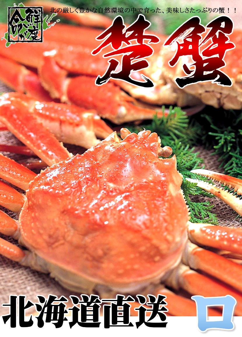 カニ ズワイガニ脚 1箱 800g (ビードロカット/ボイル済み/冷凍) ずわい