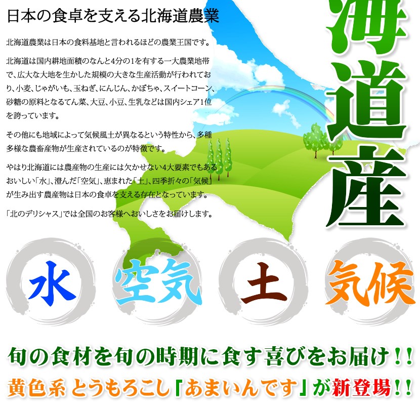 北海道 とうもろこし あまいんです