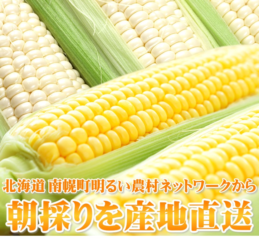 北海道 とうもろこし ピュアホワイトset